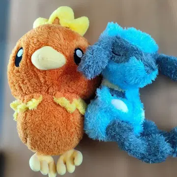 포켓몬 봉제 인형 아차모 루카리오 2체 세트