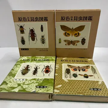 원색 일본 곤충 도감 상하의 세트 보육사 도감 자연