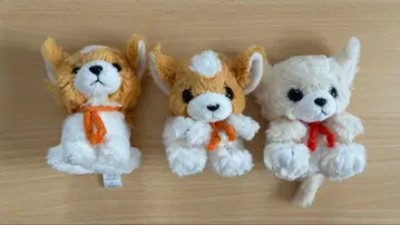 조이풀메이트 봉제 인형 치와와