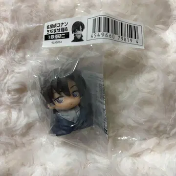 명탐정 코난 하기와라 켄지 치지마세타이 8