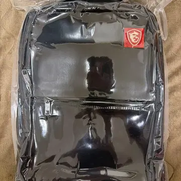 MSI Urban Raider 블랙 백팩