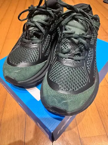 HOKA CLIFTON ONE9