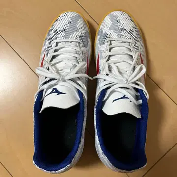 미즈노 모나르시다 네오 풋살화