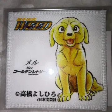 [ 새상품 미사용 ] 은아 전설 WEED 위드 극세사 데지 코스터