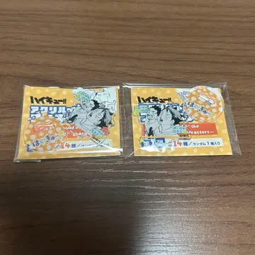 하이큐 아크릴 mini 피규어 오이카와 이와이즈미