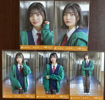 노기자카46 나카니시 아루노 차도 측 브로마이드 5종 컴프