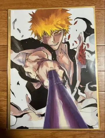 BLEACH 쿠로사키 이치고 클리어 파일