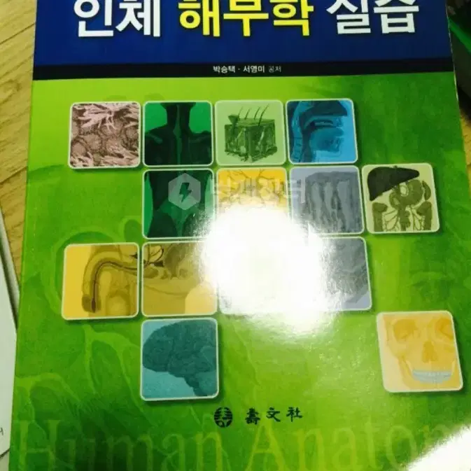 간호학 전공 서적