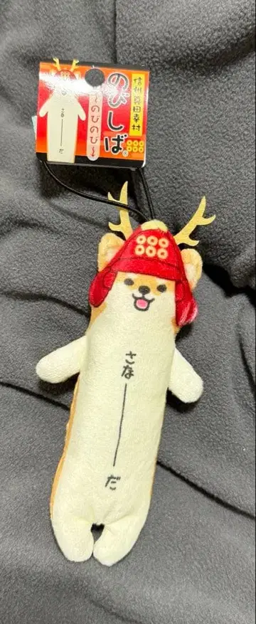 노비시바 나가노 * 우에다 * 사나다