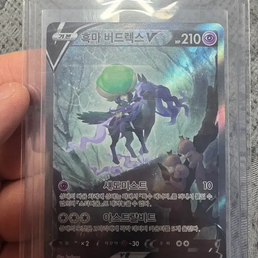 sealed pokemon booster boxes Pokemon Chaos Rising Booster Box Sealed Case  MHDEALSPLUS