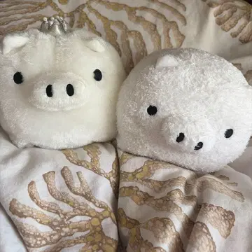 화이트 돼지 봉제 인형 2개 세트
