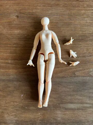 아존 azone 피코니모 S 바디