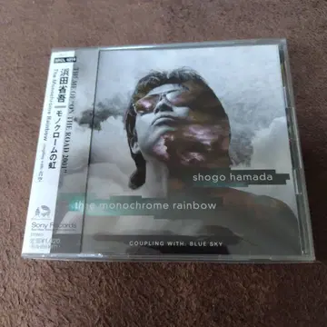 shogo hamada the monochrome rainbow