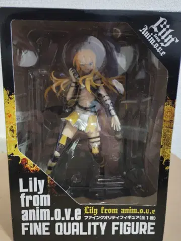 Lily from anim.o.v.e 파인 퀄리티 피규어