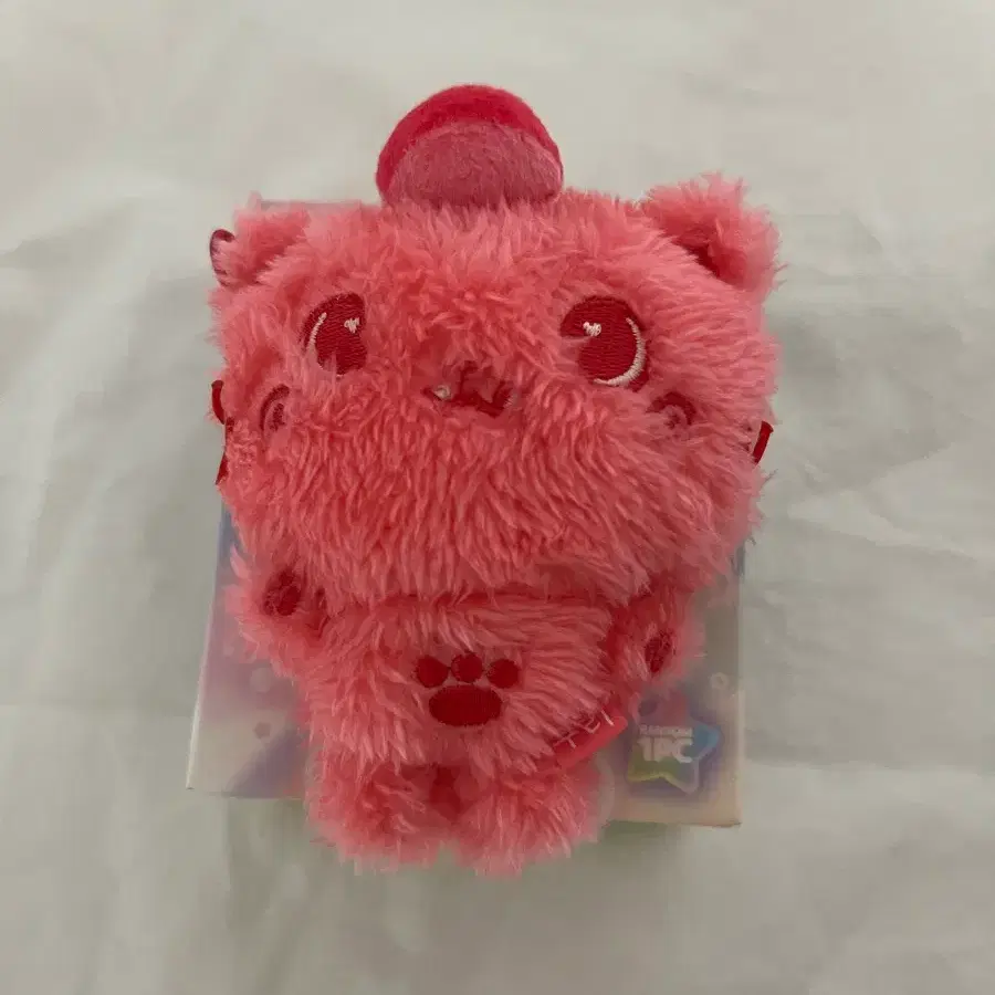 Nct Wish random color wish doll riku kuri pop up md doll | Bunjang