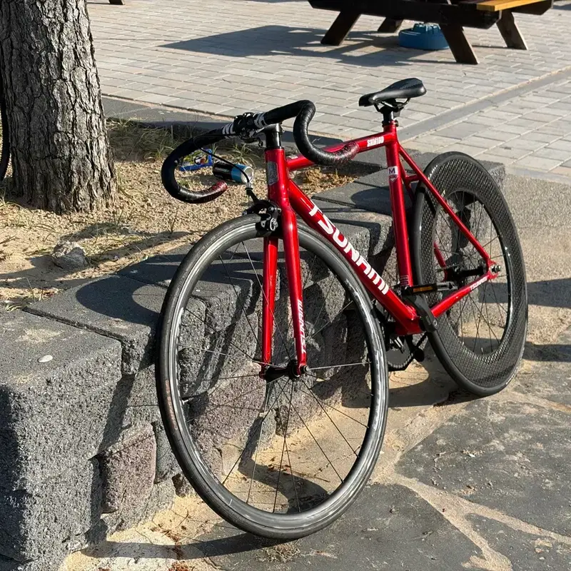 쓰나미 레드와인 (M)