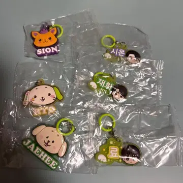 NCT WISH 통통 메지루시 액세서리