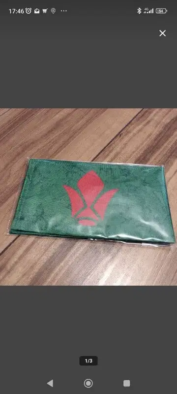레어 철화단 결기 집회 완장