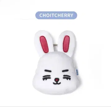 SEVENTEEN 미니틴 에스크룹스 CHOITCHERRY 코인 파우치