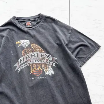 90s USA제 bird 페이드 T셔츠 양면 할리데이비슨 XL
