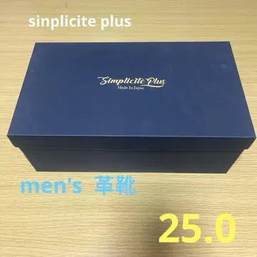 심플 시티 플러스