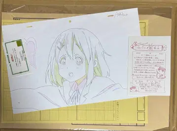 케이온! 히라사와 유이 그려내린 생동영상 새상품