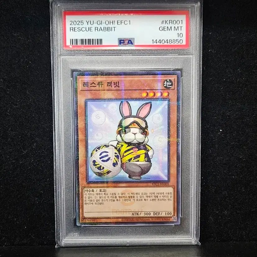 yugioh turtle cards YuGiOh Invasion of Chaos Common Don Turtle IOC-071