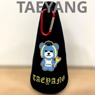 TAEYANG BIGBANG 응원봉 커버