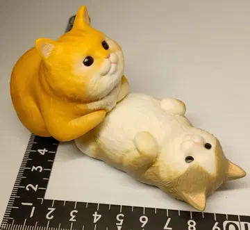 말랑말랑 굴러다니는 고양이 향바코 차트라 & 배깔고 눕는 하치와레 그레이