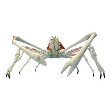 생물대도감 타카아시가니