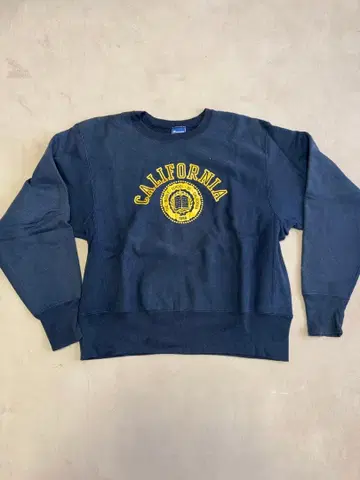 Champion Reverse Weave 트레이닝복 L