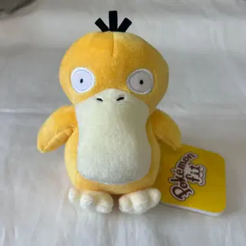 신 택 새상품급! 미사용 코닥 포켓몬 fit 봉제 인형 핏