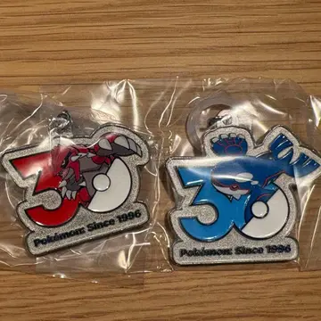 포켓몬 30주년 메탈 참 그란돈&가이오가