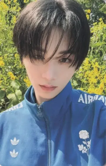BOYNEXTDOOR Pause ver. TAESAN The Action