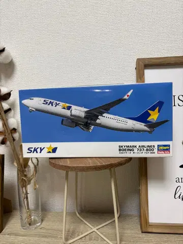 하세가와 스카이마크 보잉 737-800 1/200