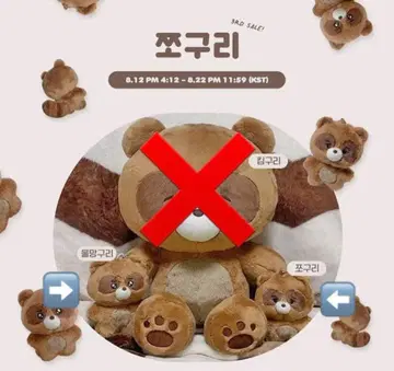 THEBOYZ 선우 봉제 인형
