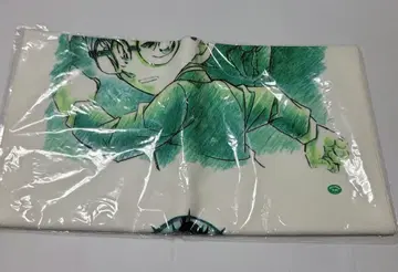 극장판 명탐정 코난 수평선상의 음모 극세사 타월