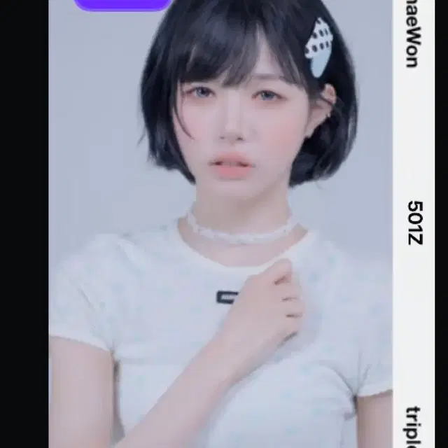 트리플에스 채원 모션 오브젝트 CC501 MCO