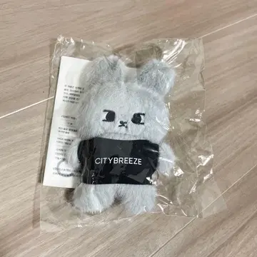 [새상품] NCT127 도영 CITYBREEZE 키링 그레이 토끼
