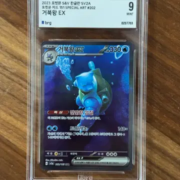 151 거북왕ex SAR brg9 한글판