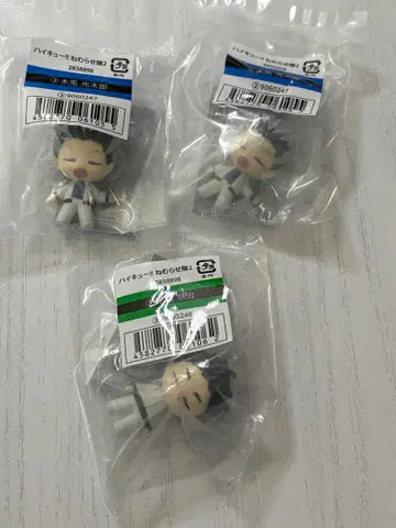 하이큐!! 잠자는 대원 2 보쿠토 아카아시 세트
