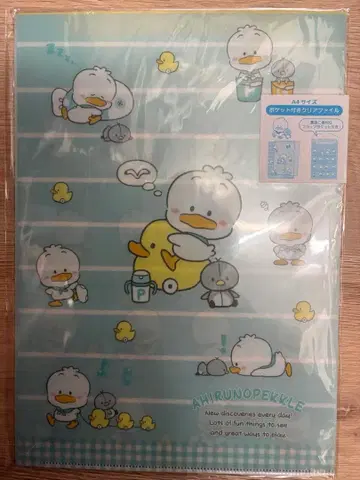 레어 완판템 페클 하피단부이 클리어 파일 세트