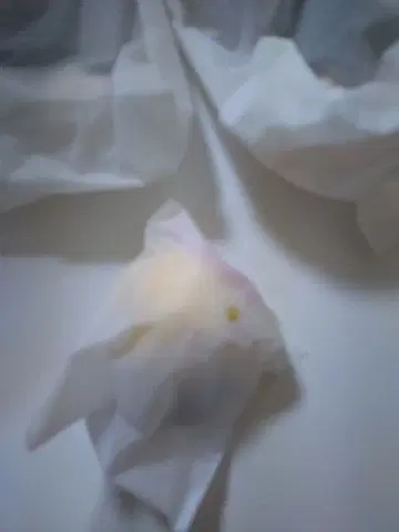 에이리언 스테이지 루카 mini 봉제 인형 아트 고등학교 R2 에이스테