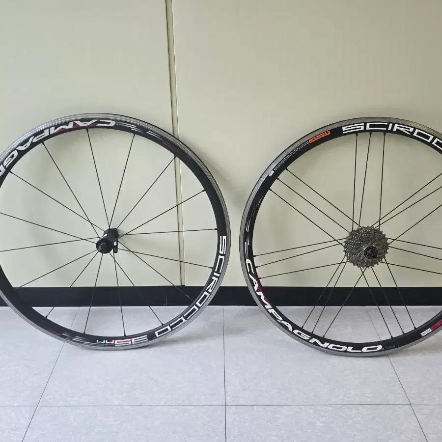 Campagnolo Ghibli | Bunjang Global