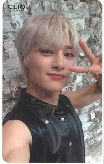 StrayKids CLIO 콜라보 I.N 트레이딩 카드