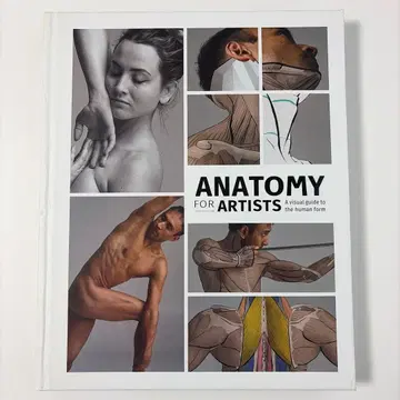 Anatomy for Artists 3dtotal Publishing