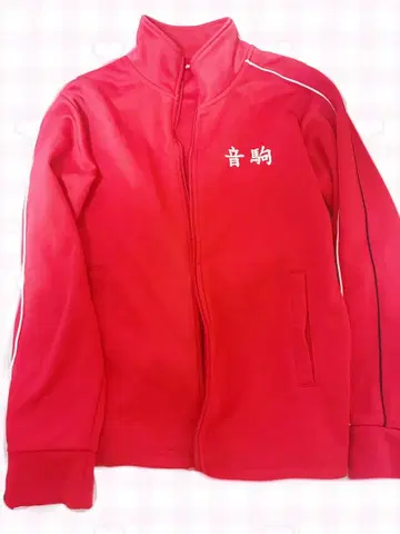 네코마 고교 하이큐 저지