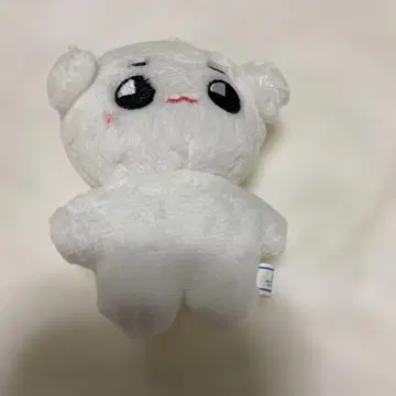 태용 마스코트 볼체인 부착 NCT 태용