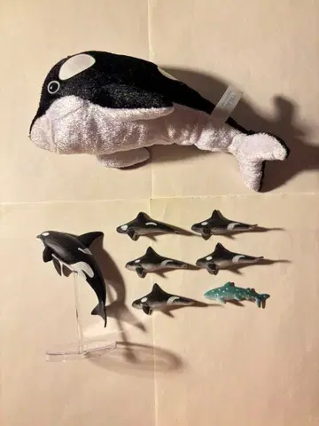 범고래 묶음 판매 봉제 인형 피규어 고래상어