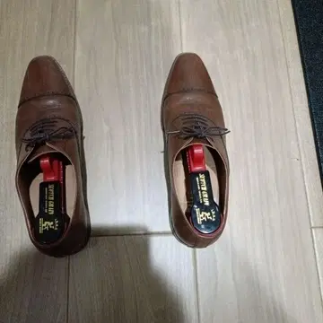 스코치 그레인 25